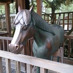 出雲大社　神馬