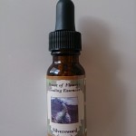 ラブズアルケミー　シルバーソード