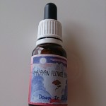 ヒマラヤン　ダウントゥアース