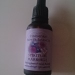 フィンドホーン スピリチュアルマリッジ