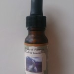 パワーオブフラワー　シルバーソード